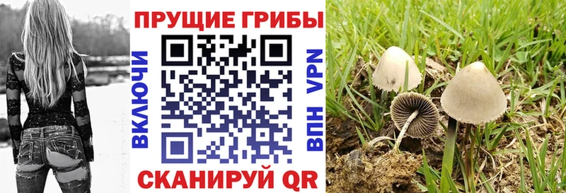 Псилоцибиновые грибы мухоморы  Верхняя Пышма 